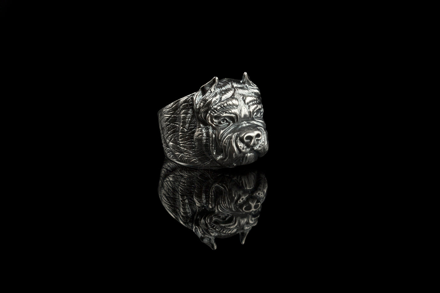 Pitbull ring, Biker ring, Animal ring, Terrier, Bordeaux, Bulldog, man silver ring