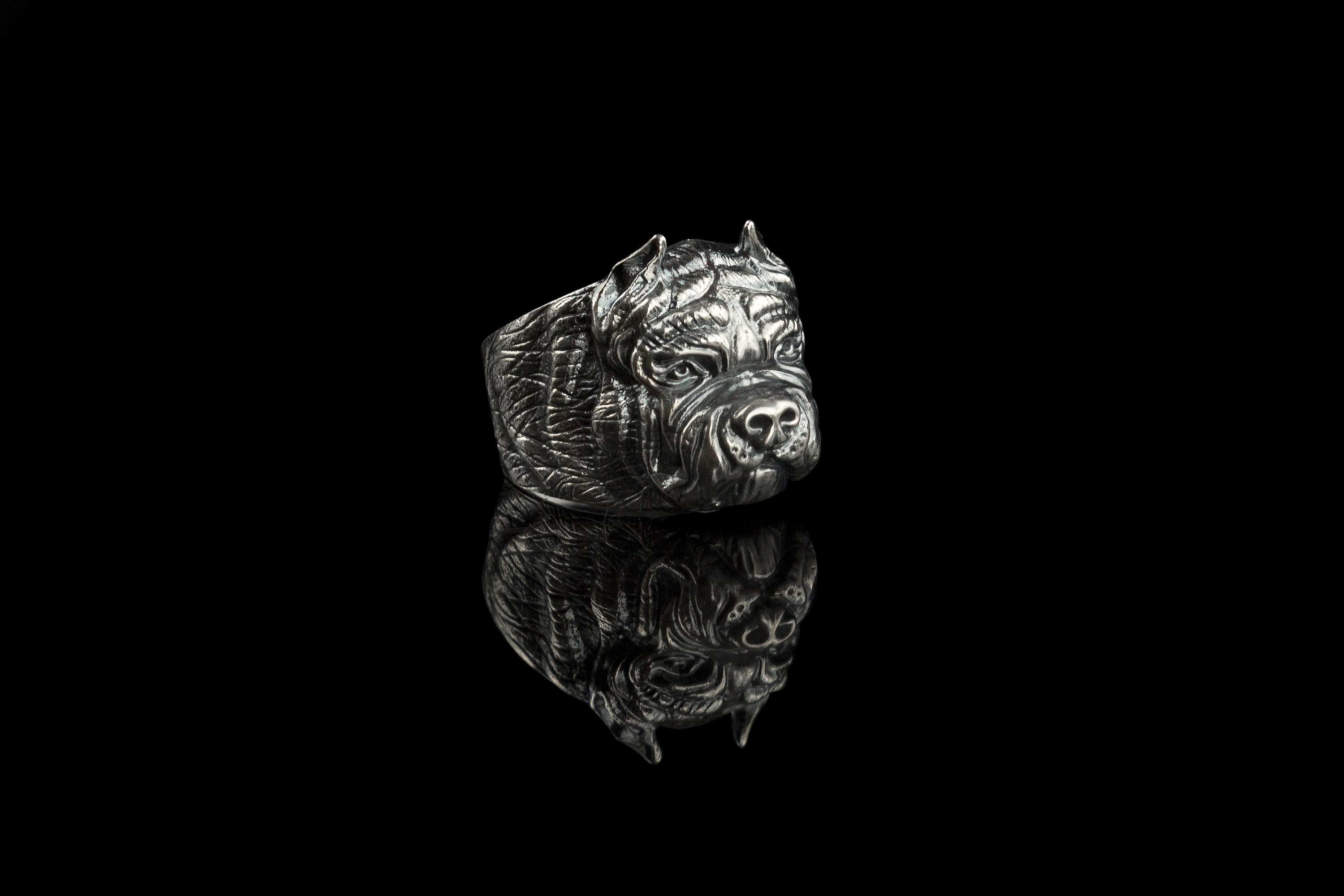 Pitbull ring, Biker ring, Animal ring, Terrier, Bordeaux, Bulldog, man silver ring