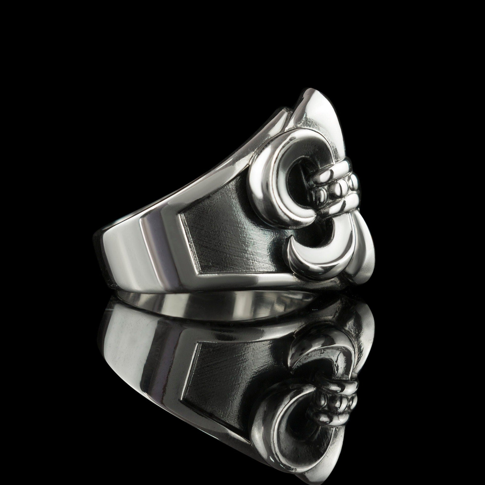 Fleur de Lis ring Silver jewelry French lily Biker jewelry Knight ring