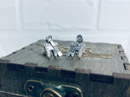 Tooth studs Gift for dentist Jewelry for doctor Silver Tooth with dental mirror jewelry earrings